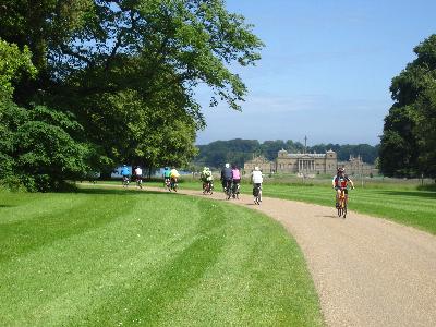 Holkham Hall Driveway