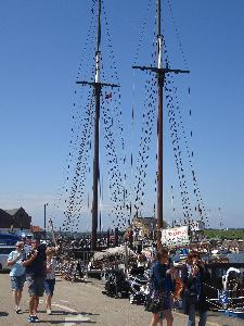 The Albatros