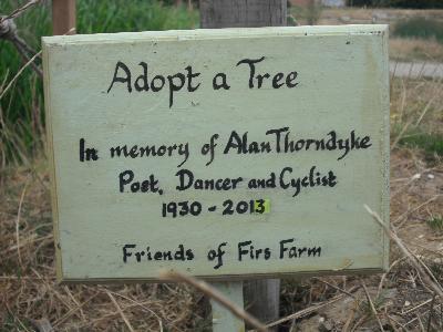 The Plaque