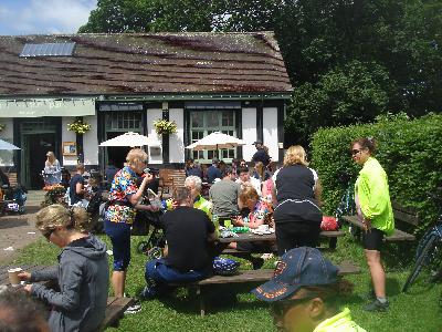 Cafe in Verulamium Park