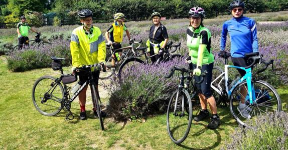 At the Lavender Farm