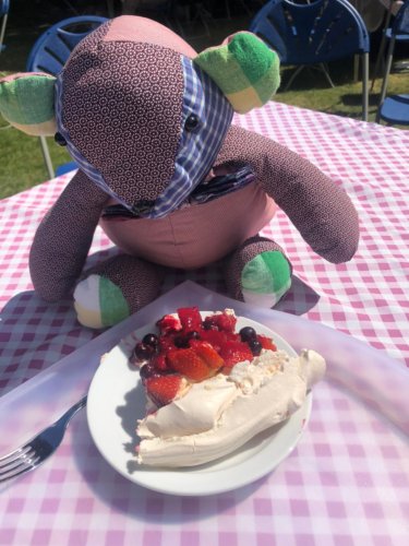 Maz shared her cake with Bailey Bear